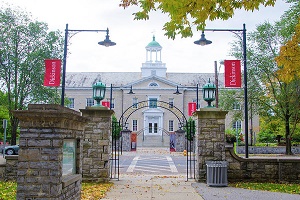 The Trout Gallery