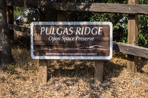 Pulgas Ridge Preserve