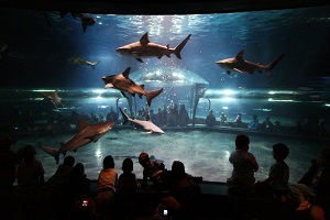 Oklahoma Aquarium