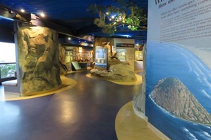 Museum of Natural History
