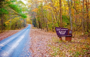 George Washington and Jefferson National Forests