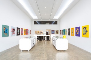Carla Massoni Gallery