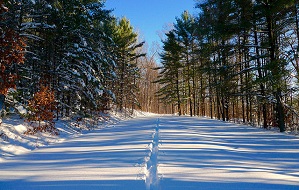 French Creek State Park