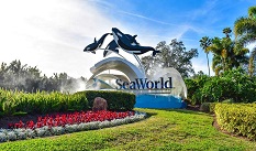 SeaWorld Adventure Park