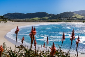 Monterey State Beach