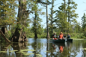 Cache River State Natural Area