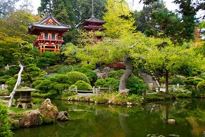 Japanese Tea Garden