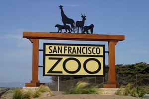 San Francisco Zoo