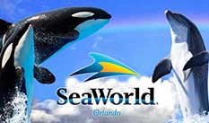 SeaWorld Adventure Park