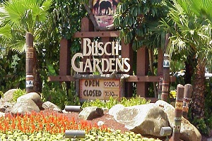 Busch Gardens Tampa Bay