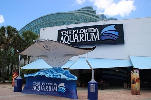 The Florida Aquarium