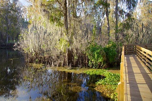 Lettuce Lake Park