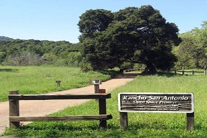 Rancho San Antonio Preserve