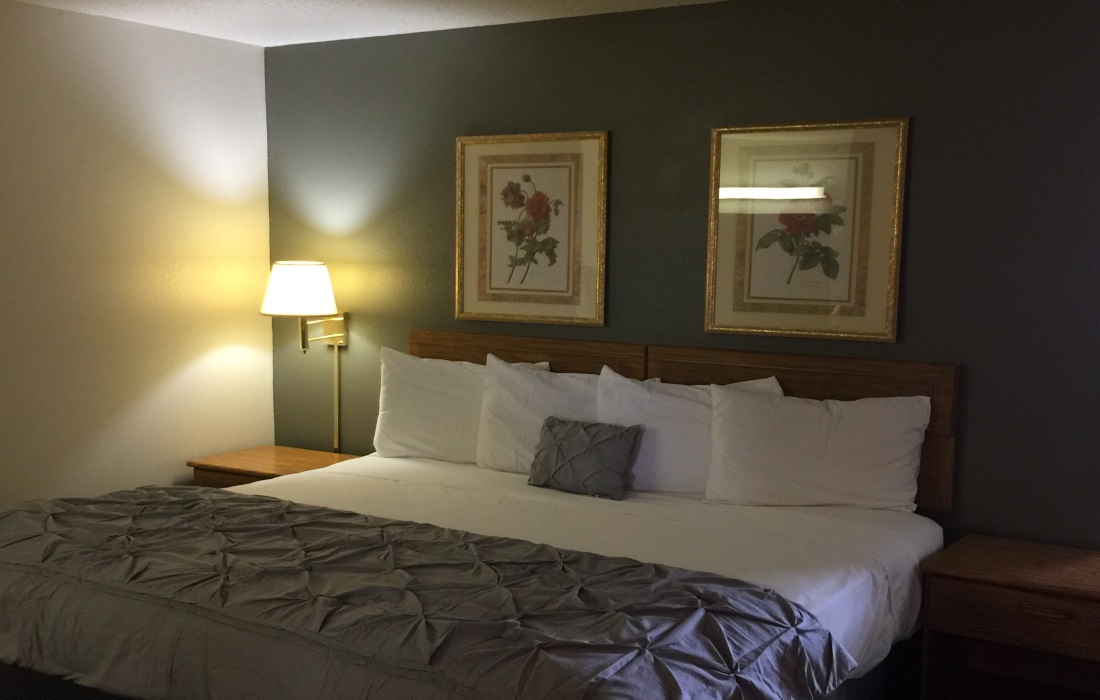 Amerihost Inn & Suites - Single Bed Room -1