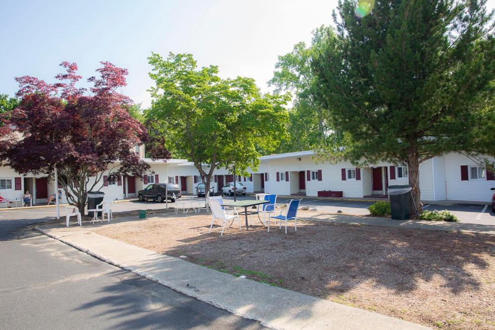 Bedford Motel - Exterior Area-1