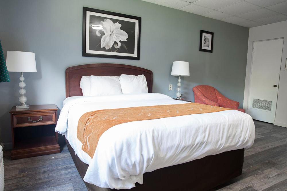 Bedford Motel - Single Bed Room
