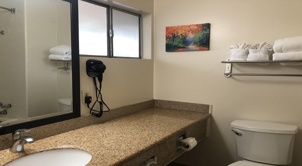 ABVI-Presidents Inn - Bathroom-2