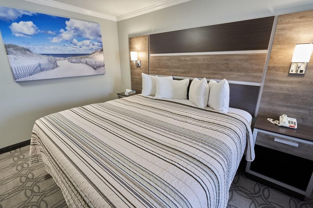 Ambassador Inn and Suites - Single Bed Room-1