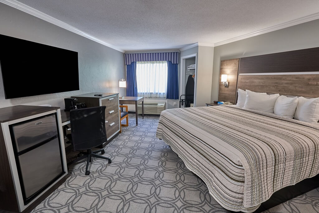 Ambassador Inn and Suites - Single Bed Room-2