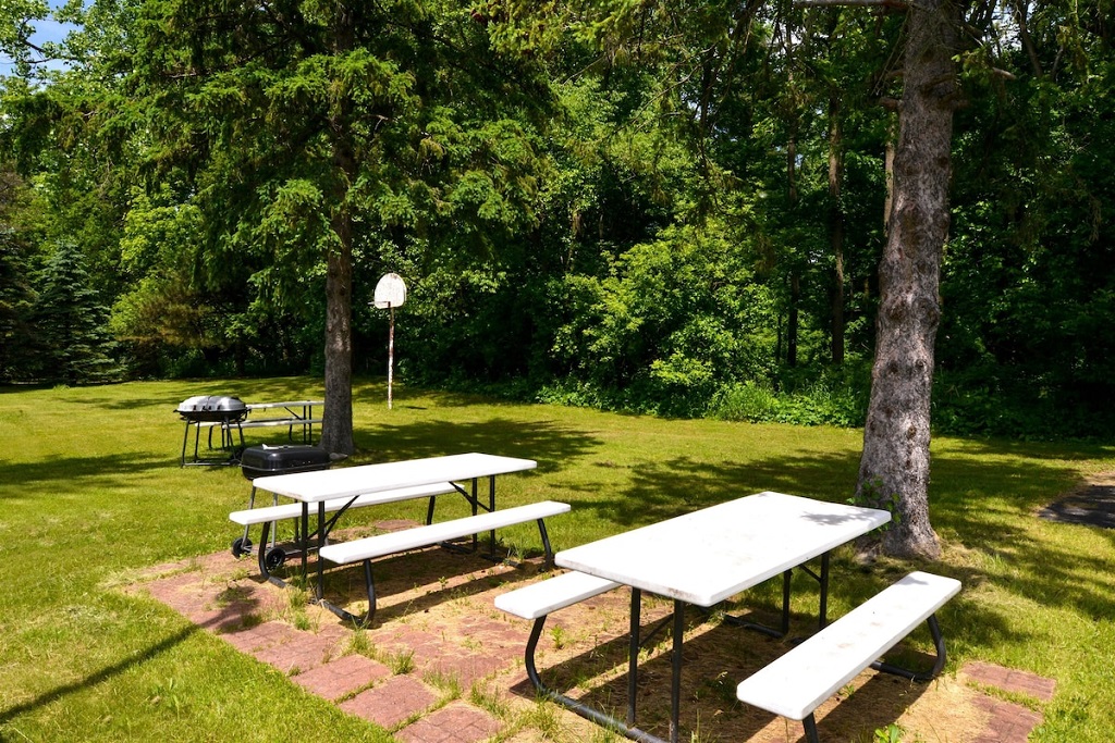 Americas Best Value Inn Jonesville - BBQ/Picnic Area