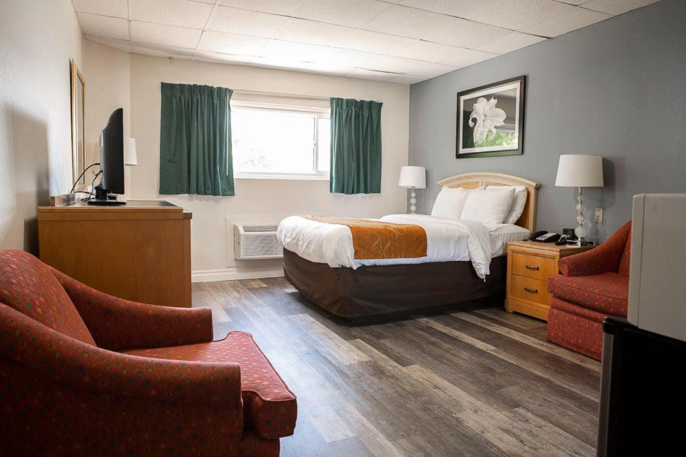 Bedford Motel - Single Bed Room-7