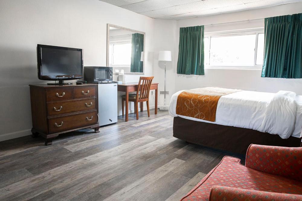 Bedford Motel - Single Bed Room-2