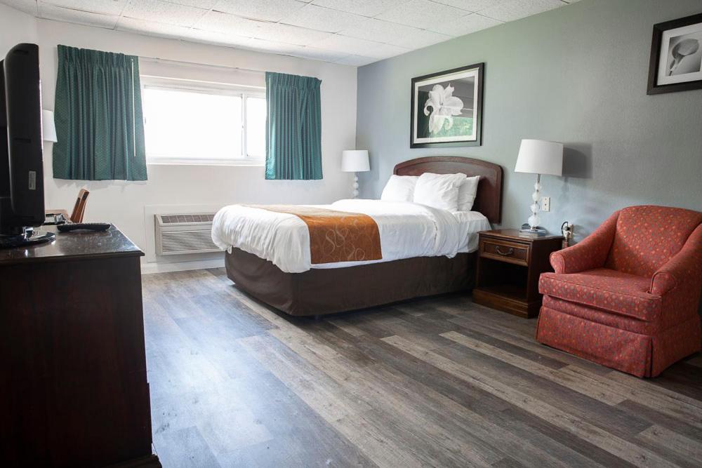 Bedford Motel - Single Bed Room-3