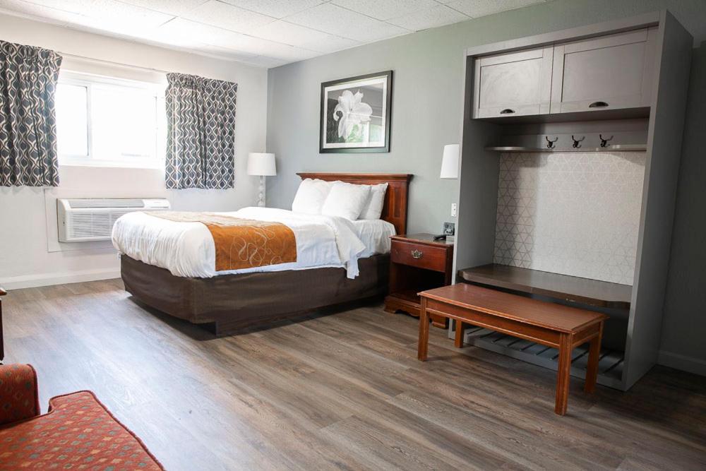 Bedford Motel - Single Bed Room-6