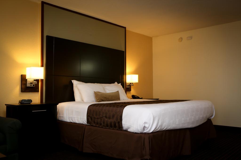 Best Western Inn of Del Rio - Single Bed Room-1