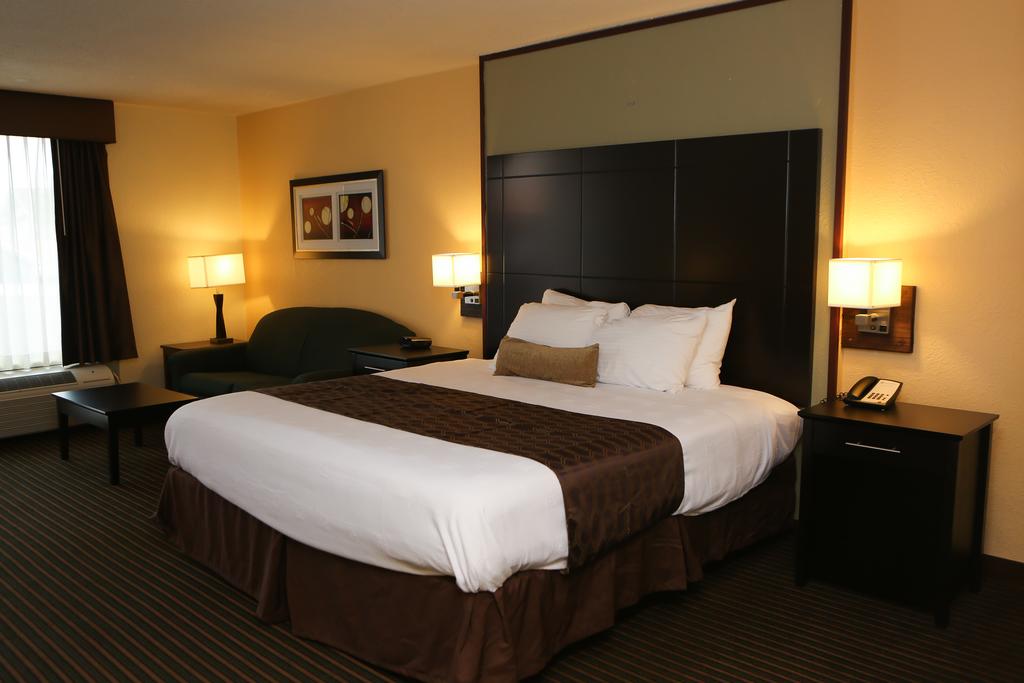 Best Western Inn of Del Rio - Single Bed Room-3