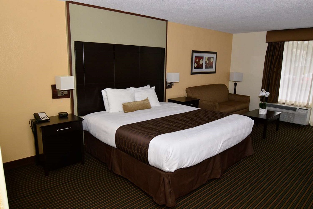 Best Western Inn of Del Rio - Single Bed Room-5