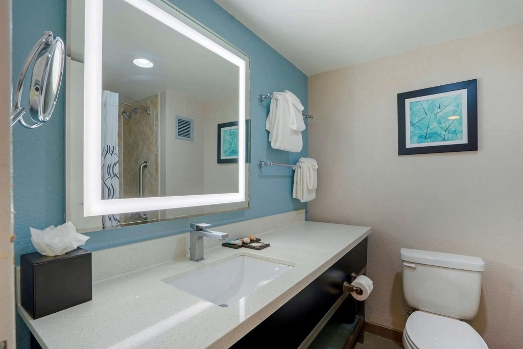 Jacksonville Premier Deerwood Hotel - Room Bathroom