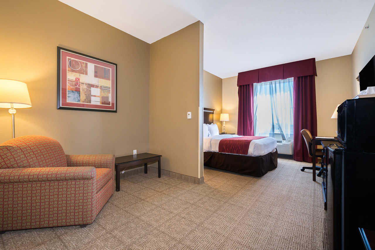 Comfort Inn & Suites Davenport - Single Bed Room-2