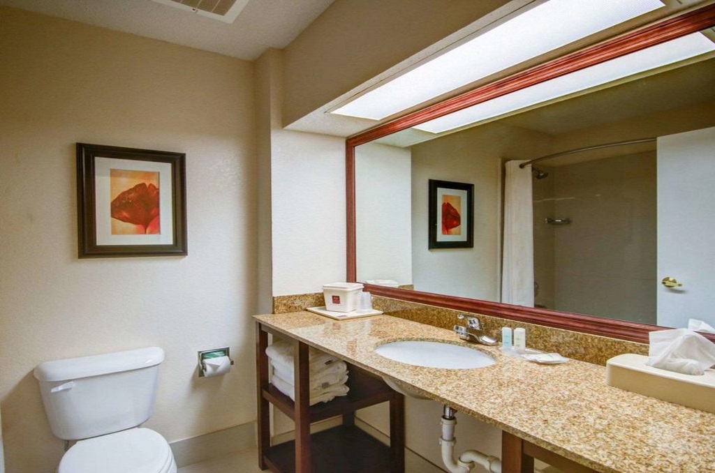 Comfort Suites Lawrenceville - Room Bathroom