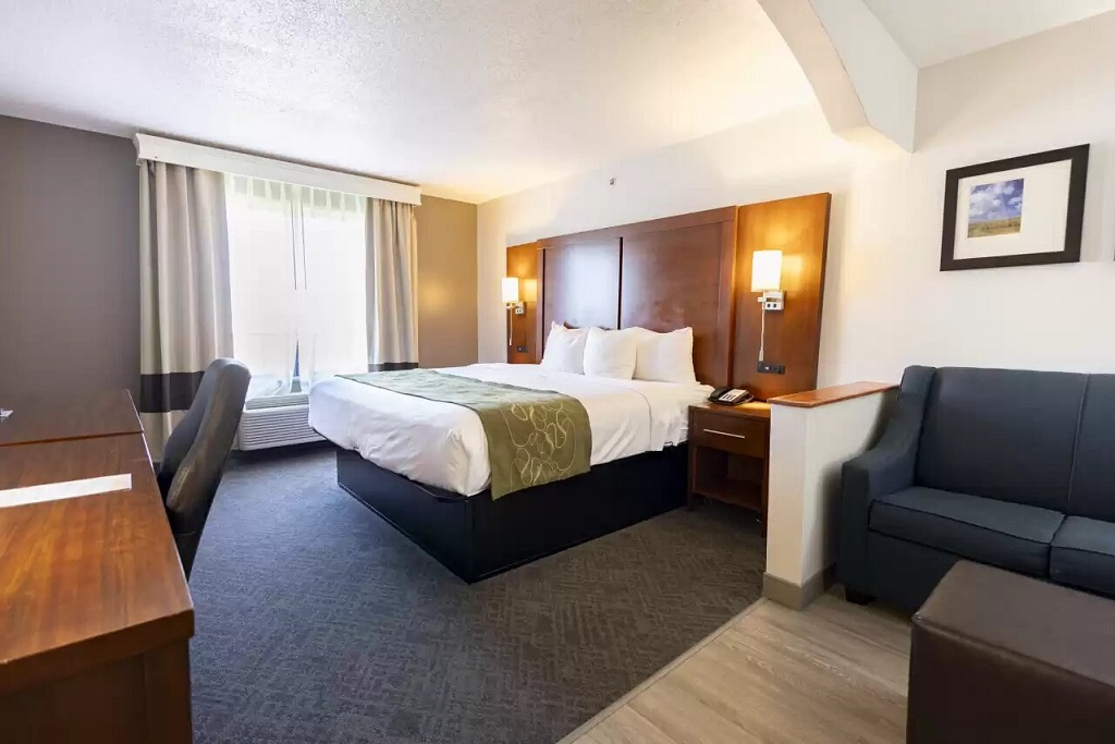 Comfort Suites Springfield - Single Bed