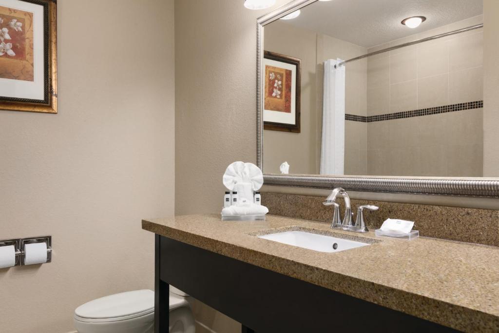 Country Inn & Suites by Radisson, Tampa Airport North - Room Bathroom