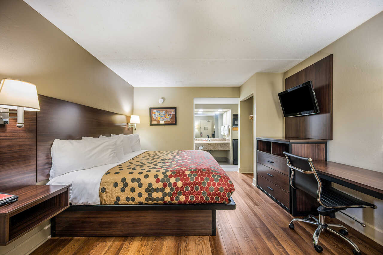 Econo Lodge Inn & Suites - Single Bed Room-4