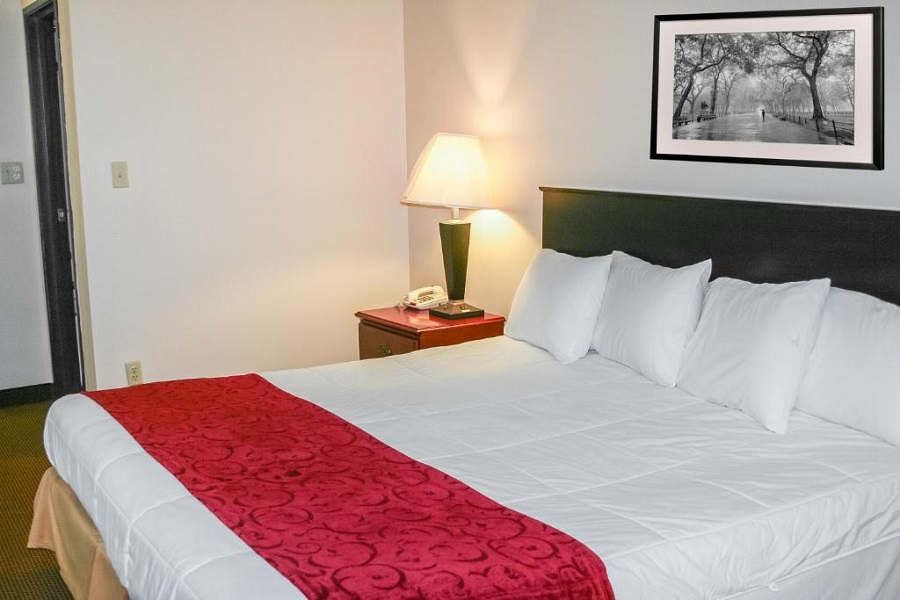 Hotel 7 Inn Vienna - Single Bedroom-1