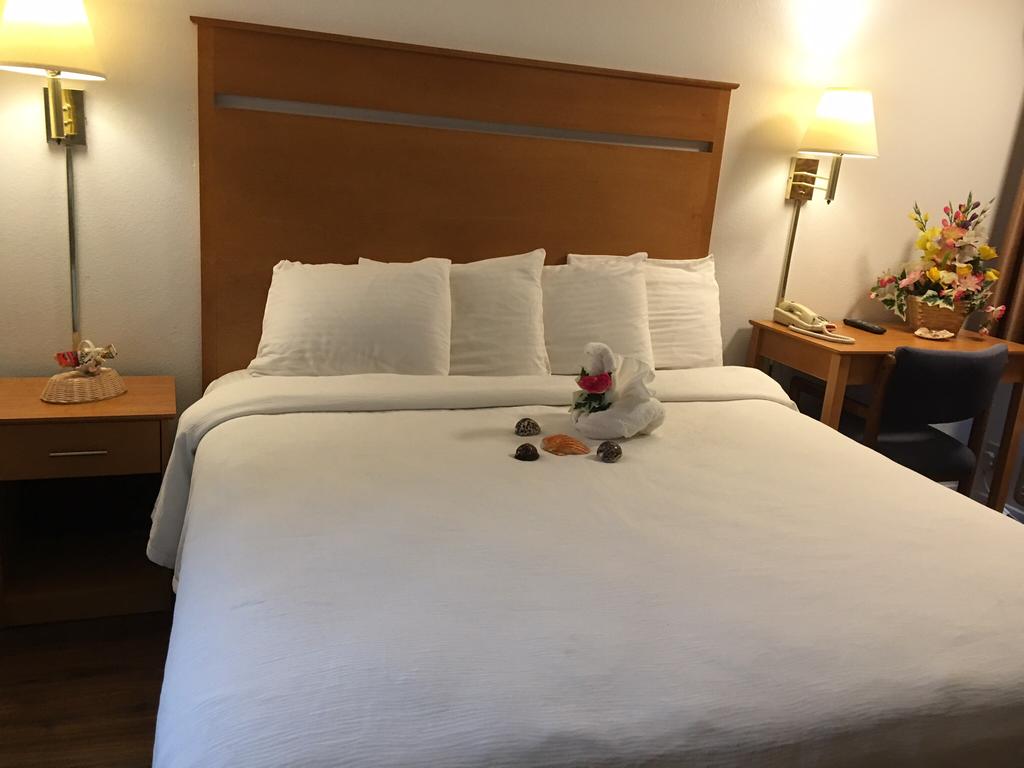 OceanView Motel - Single Bed-2