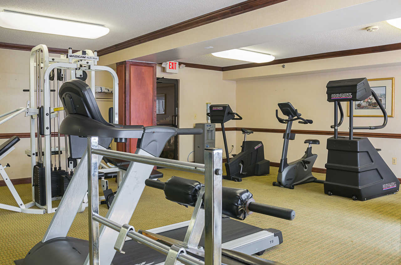 Quality Inn & Suites Detroit Metro Airport - Fitness-2