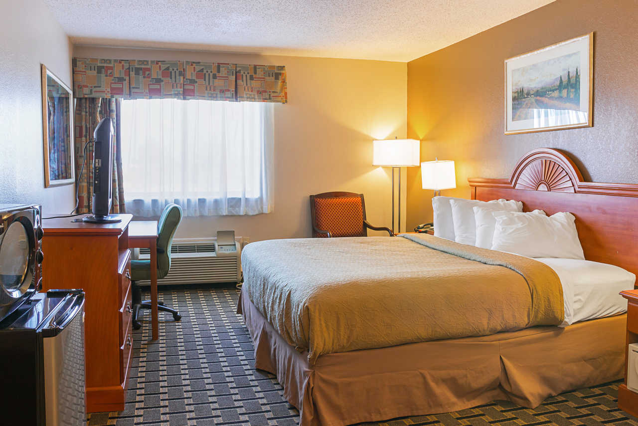 Quality Inn & Suites Detroit Metro Airport - Single Bed-6