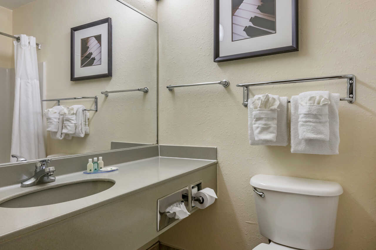 Quality Inn Zephyrhills - Room Bathroom