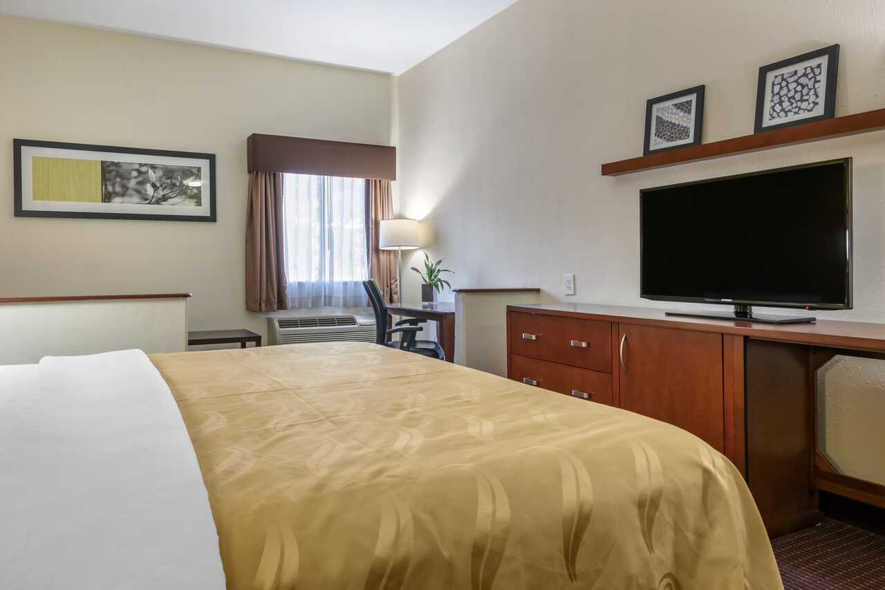 Quality Inn Zephyrhills - Single Bed Room-2