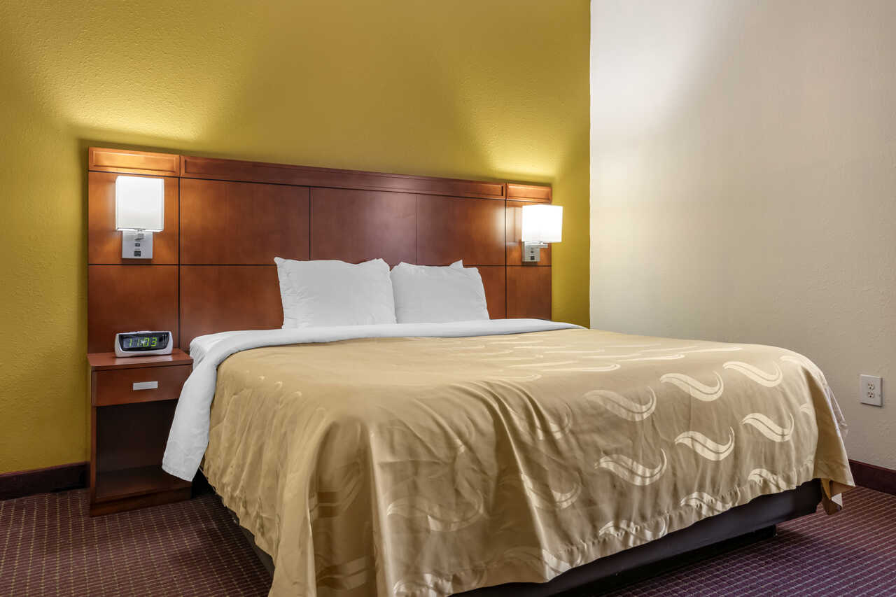 Quality Inn Zephyrhills - Single Bed Room-4