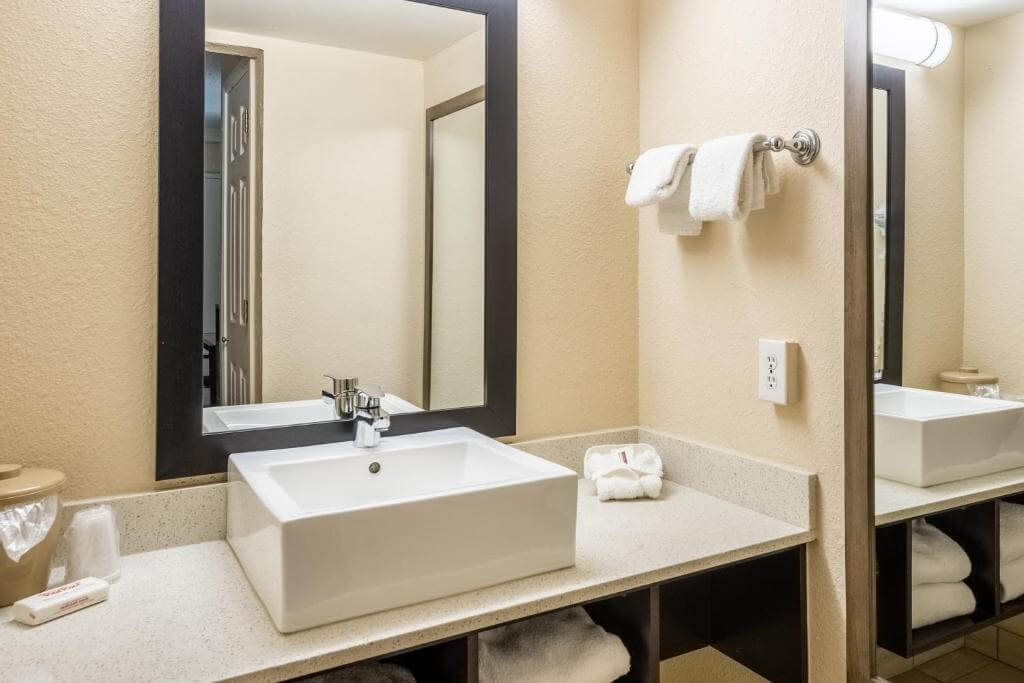 Red Roof Inn Tampa Bay - St. Petersburg - Room Bathroom-1