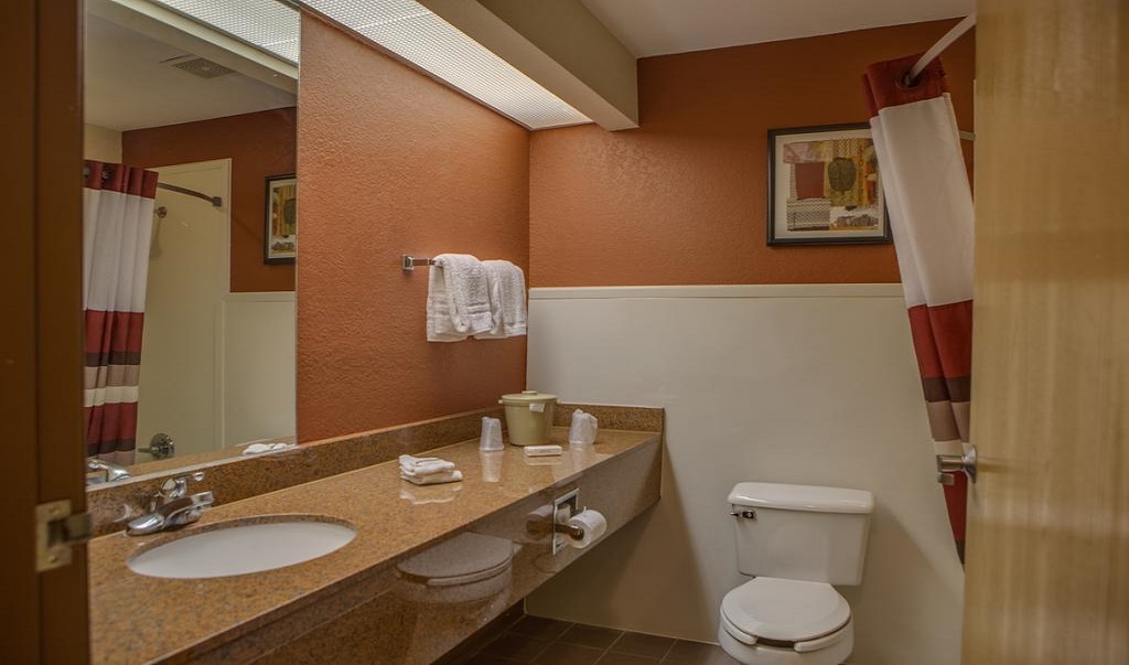 Red Roof Inn Pharr/McAllen - Room Bathroom