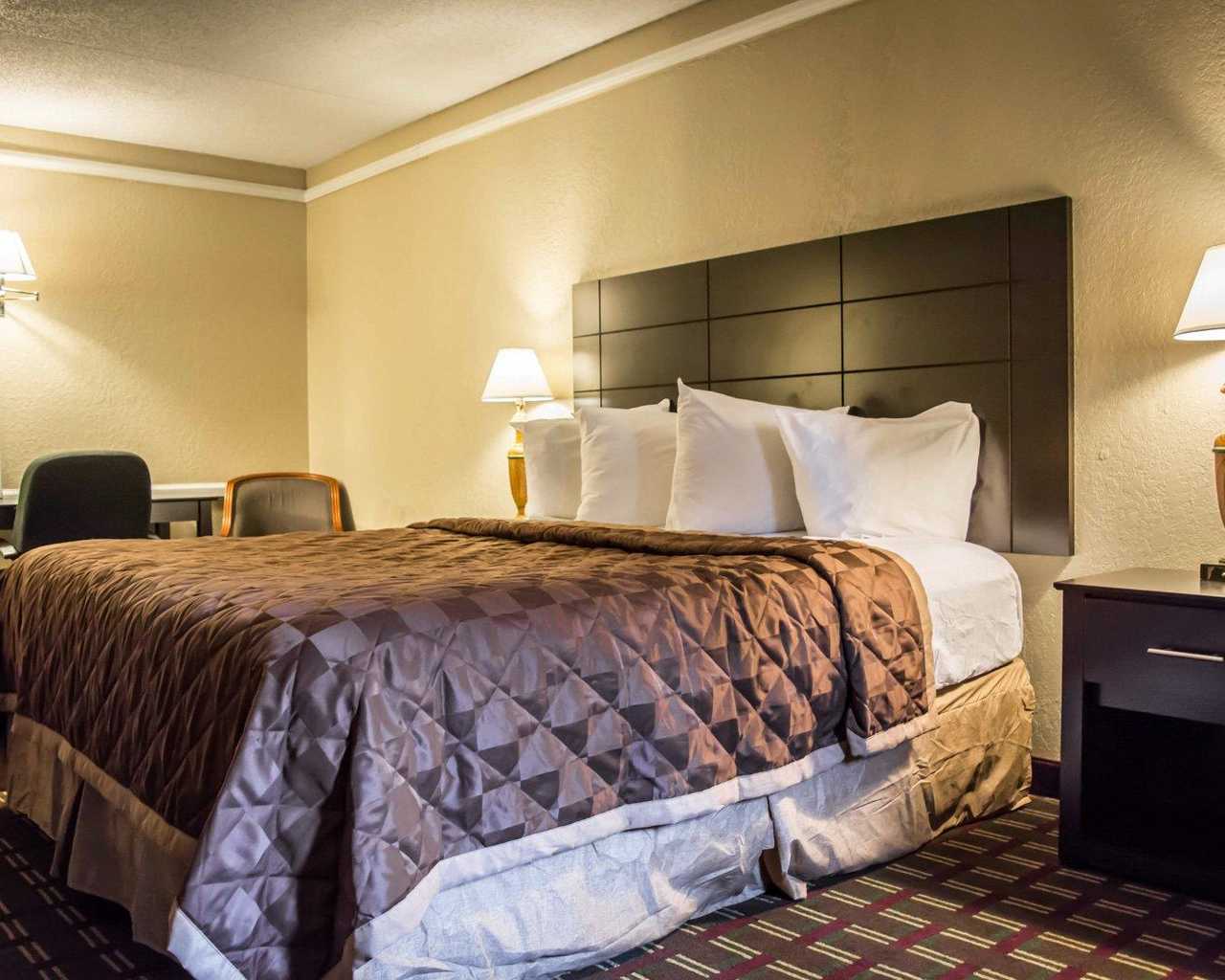Rodeway Inn & Suites Tampa - Single Bed-2