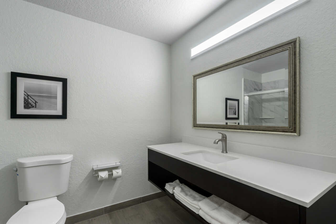 Rodeway Inn Wesley Chapel - Room Bathroom-2