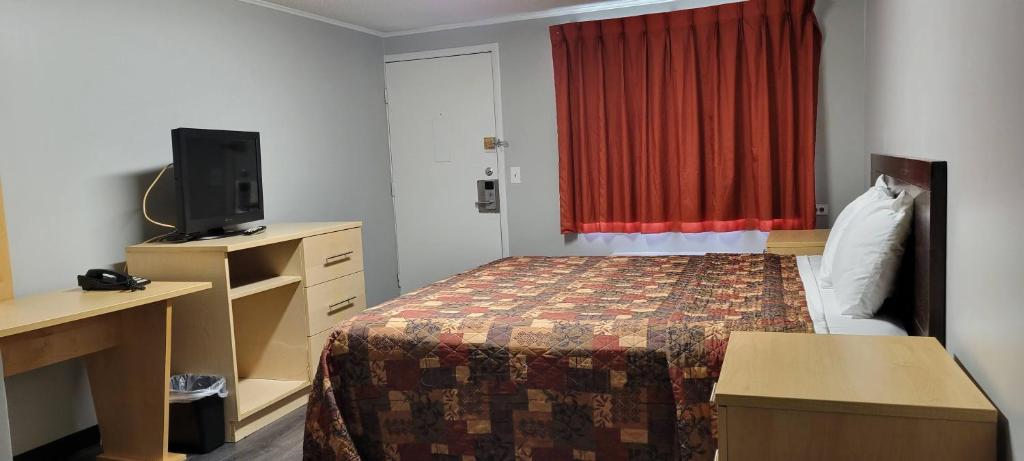 Superlodge New Castel - Single Bed Room-4