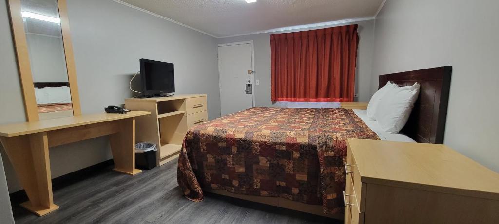 Superlodge New Castel - Single Bed Room-3